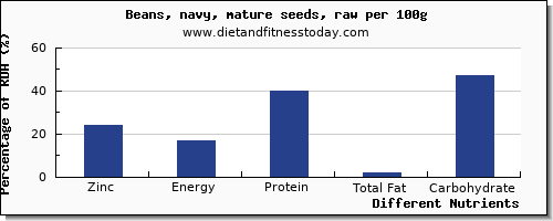 chart to show highest zinc in navy beans per 100g